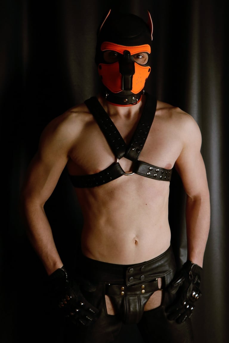 Man in leather harness and pup mask.