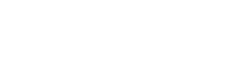 Deskin Design Co. logo