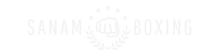 SANAM BOXING : Matériel et équipement de boxe à la Réunion logo