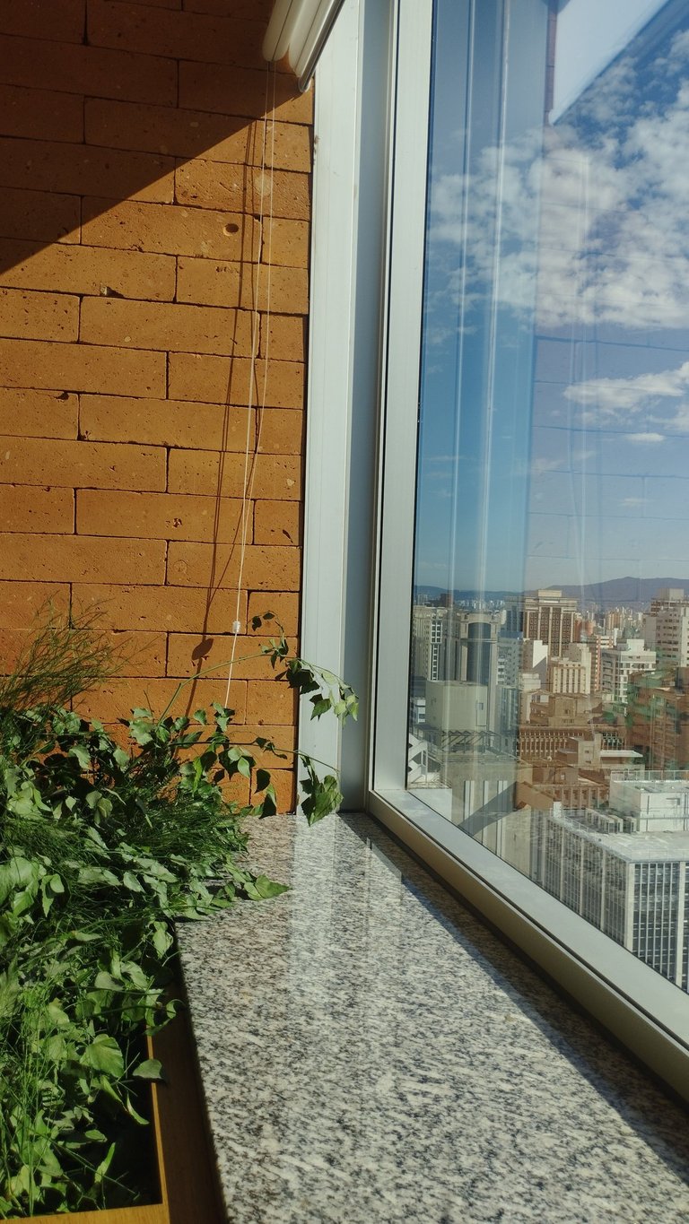 Vista da manhã ensolarada Av. Paulista, a partir do consultório presencial.