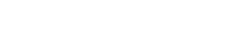 Betbhai9 logo