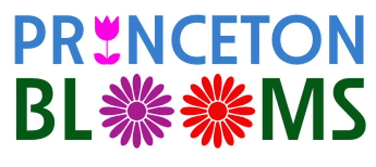 Princeton Blooms logo