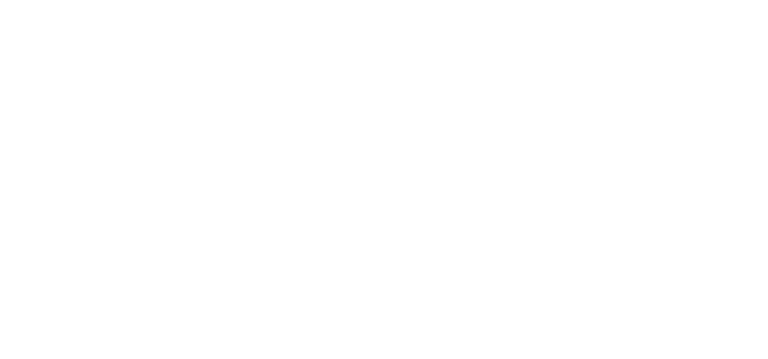 Alter-native logo