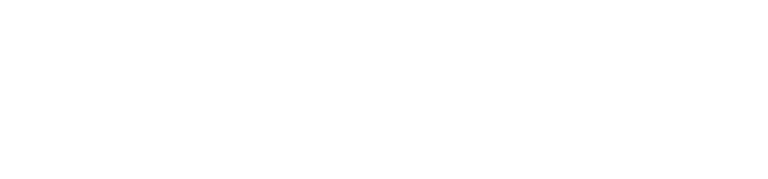 Swasti Shri Triveni Foundation logo