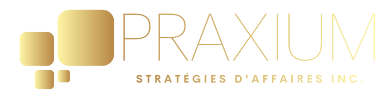 Praxium stratégies logo