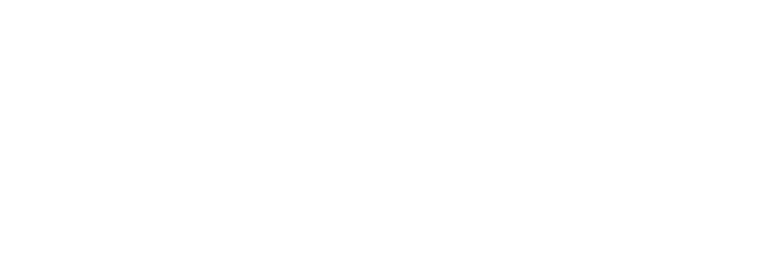 Balanced Equity Consulting, LLC logo