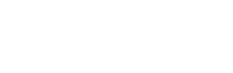 Balanced Equity Consulting, LLC logo