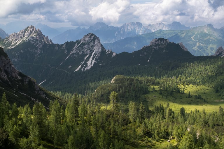 Paesaggio alpino in Dolomiti Friulane, bosco in primo piano e vette sullo sfondo