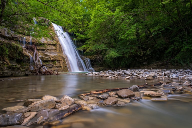 cascata in mezzo al bosco con fila di sassi in primo piano