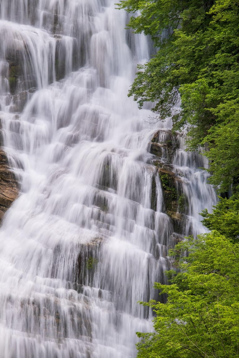 porzione della cascata dell'Acquacheta con alberi laterali