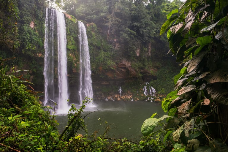 Il salto di una cascata in mezzo alla giungla messicana