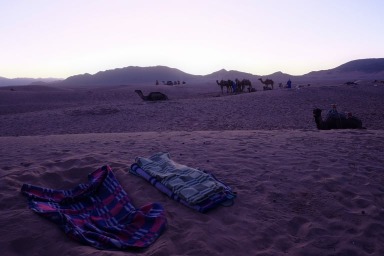 Deserto marocchino di Zagora all'alba con cammelli e teli stesi sulla sabbia