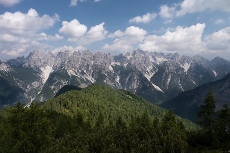 Vista sulle Dolomiti Friulane con bosco in primo piano e cielo con nuvole bianche
