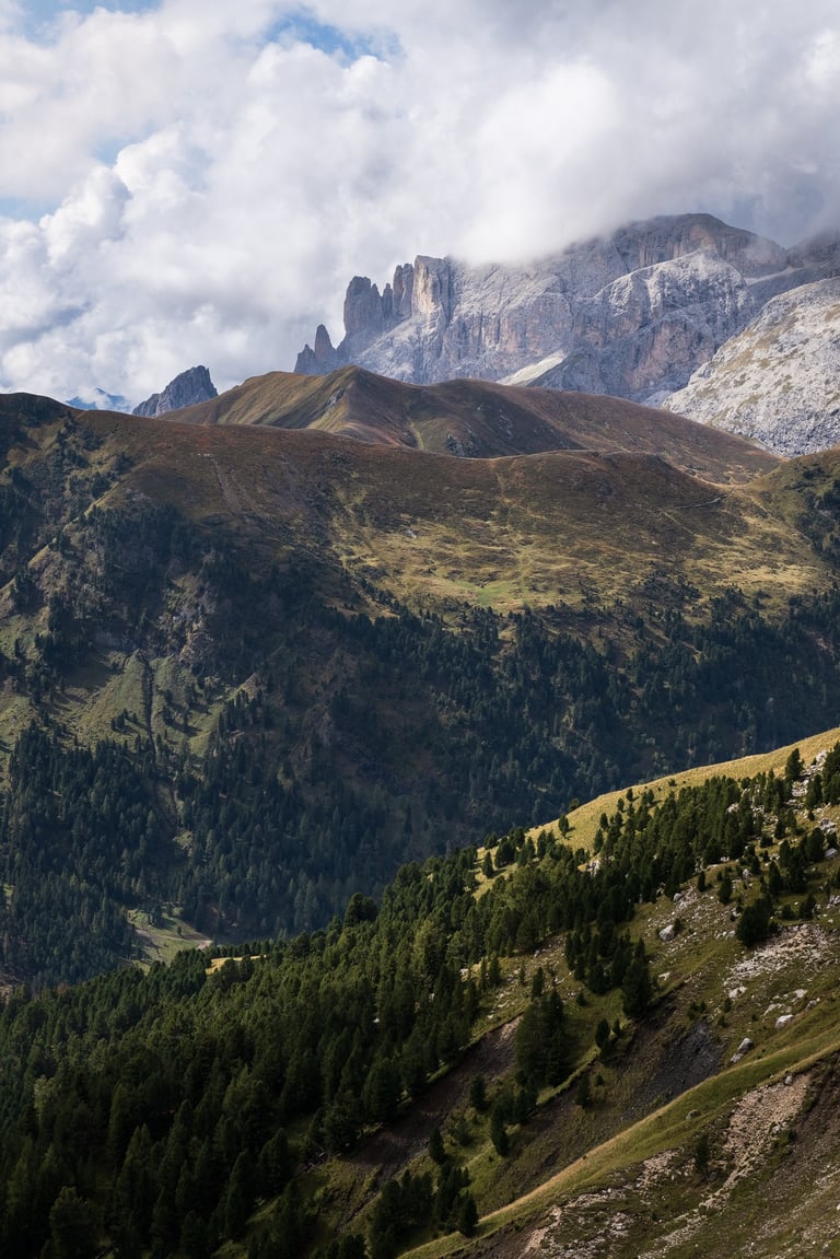 Paesaggio Altoatesino con bosco sulle montagne in primo piano e Gruppo del Catinaccio sullo sfondo
