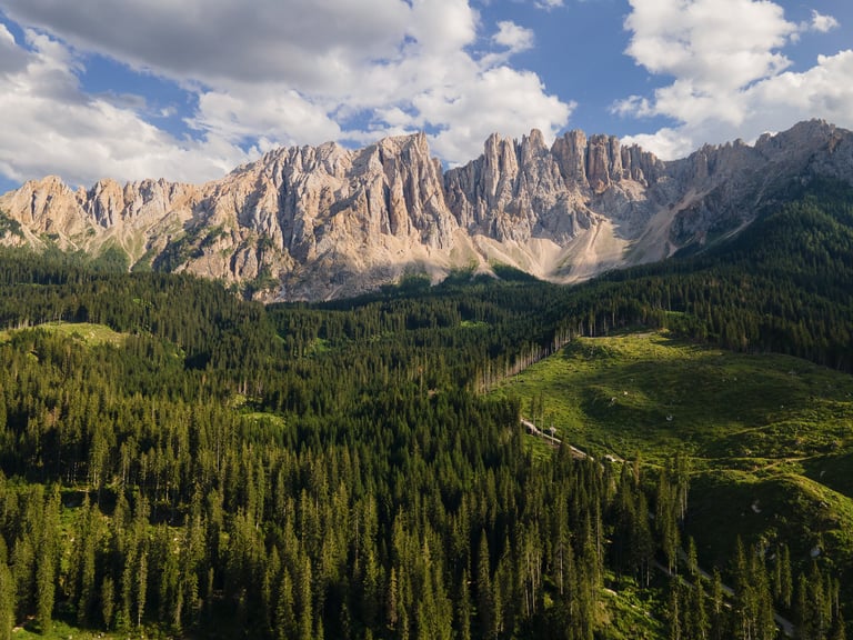 Scatto aereo del gruppo dolomitico del Latemar con bosco in primo piano