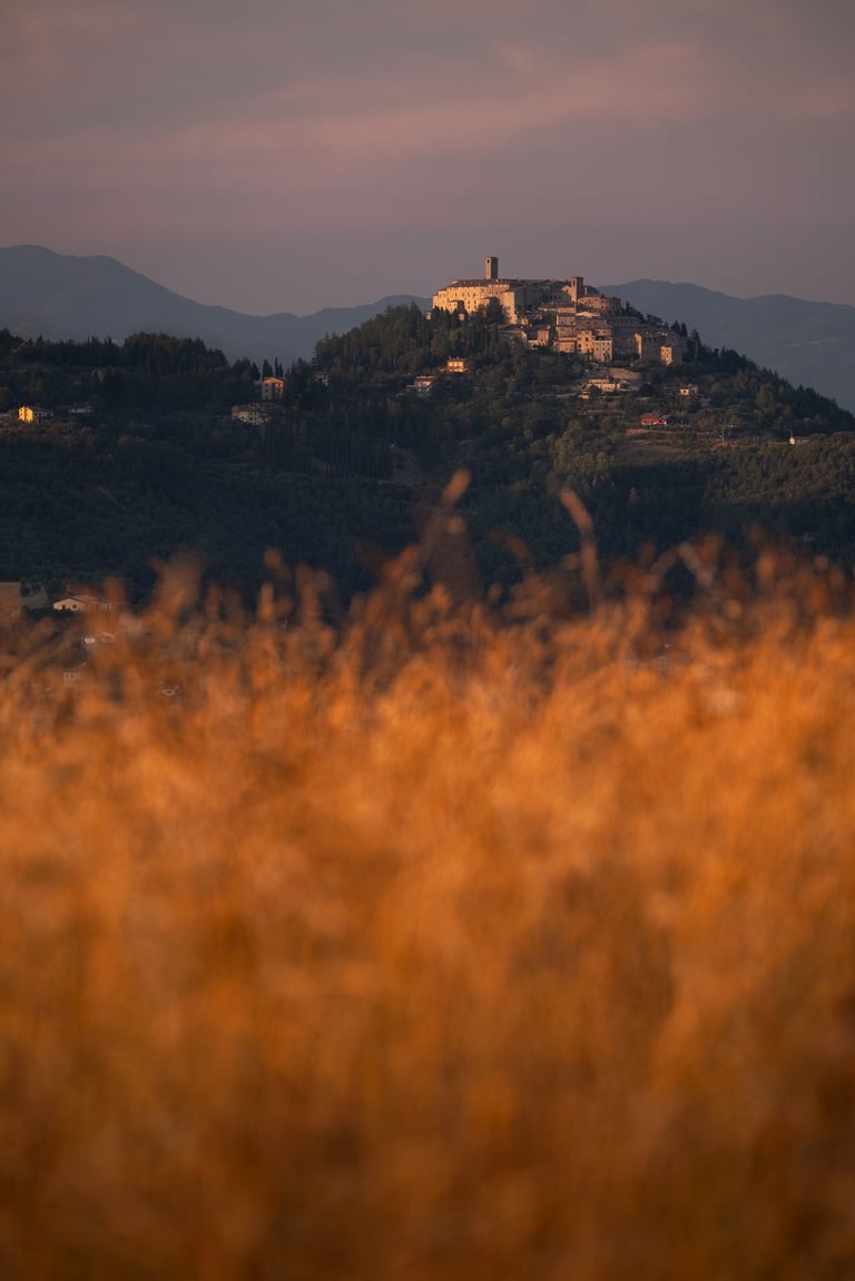 Paese di Monte Santa Maria Tiberina con grano in primo piano