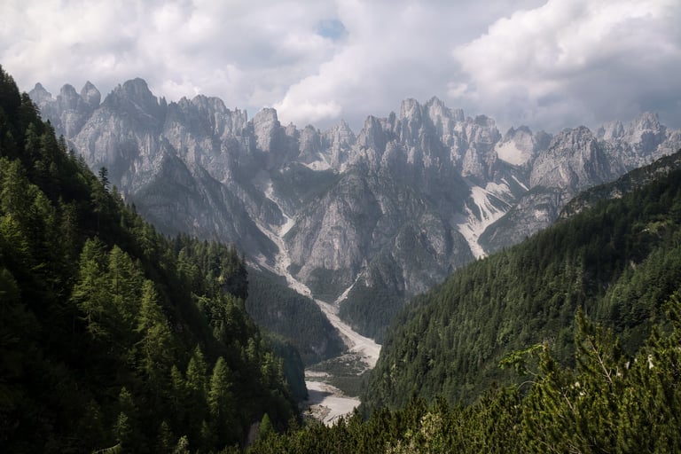 Una sezione delle Dolomiti Friulane, bosco in primo piano e montagne sullo sfondo