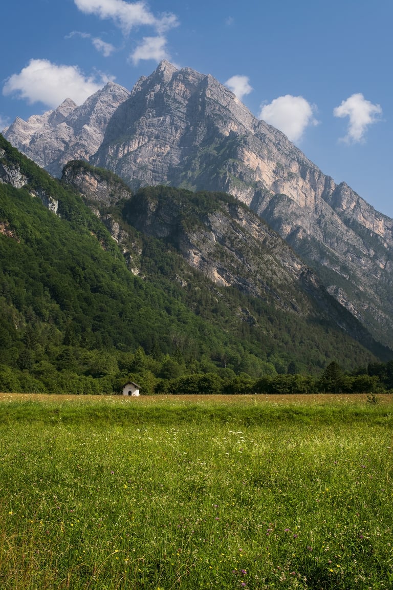 Val Cimoliana con prato in fiore e Cima dei Preti sullo sfondo