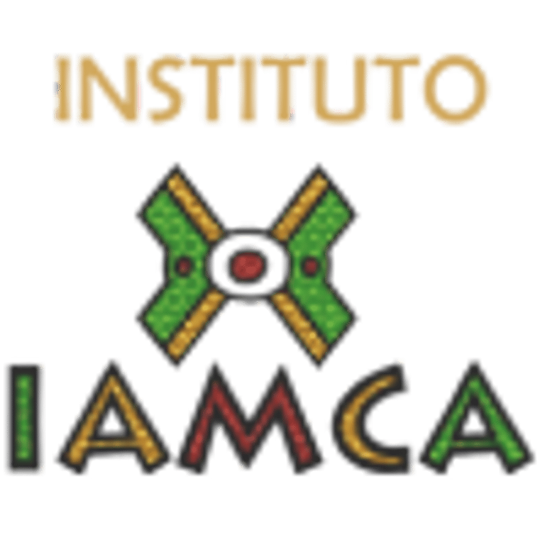 INSTITUTO IAMCA logo