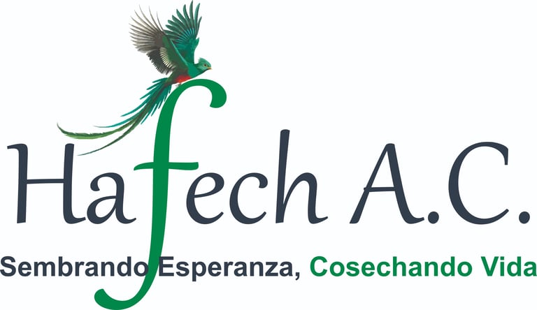 HAFECH A.C. logo