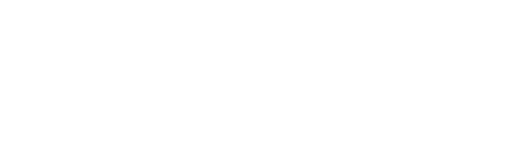 Academia ECAP (Escuela Ciudadana de Administración Pública) logo