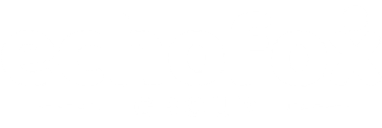 Echo Fox Group logo