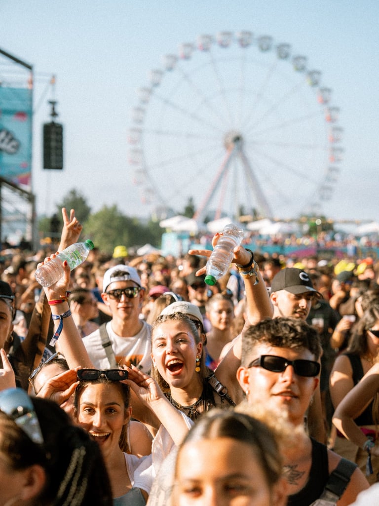 Excited crowd at Boombastic Festival with hands raised, some holding water bottles. Ferris wheel in the background. Sunny day