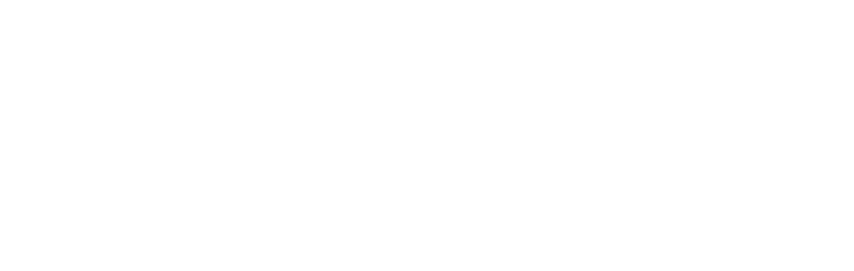 Palermo logo