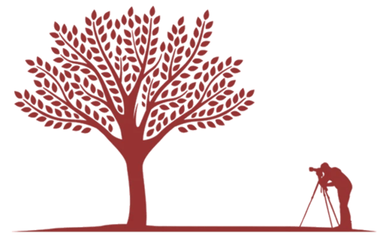 Otra Vista - Servicios Visuales por Miro Slavin logo