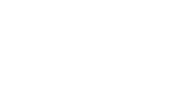 BLVCK DIAMOND logo