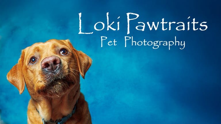 LokiPawtraits logo