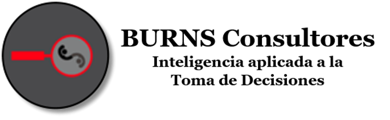 burnsconsultores.com logo