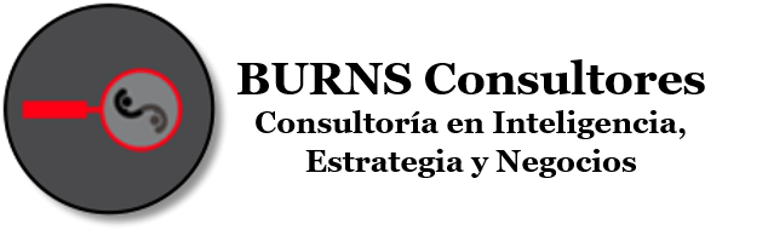 burnsconsultores.com logo