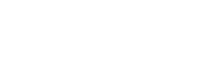 Fizio Perfectus logo