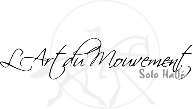 Art du Mouvement logo