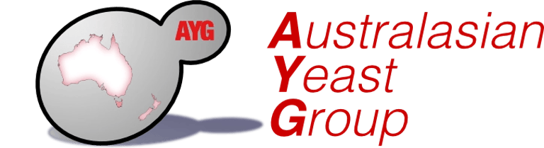 AYG logo