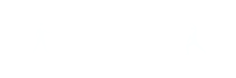 Taneční kurzy DanceBros logo