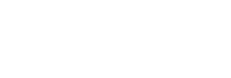 TTW Racing Team logo
