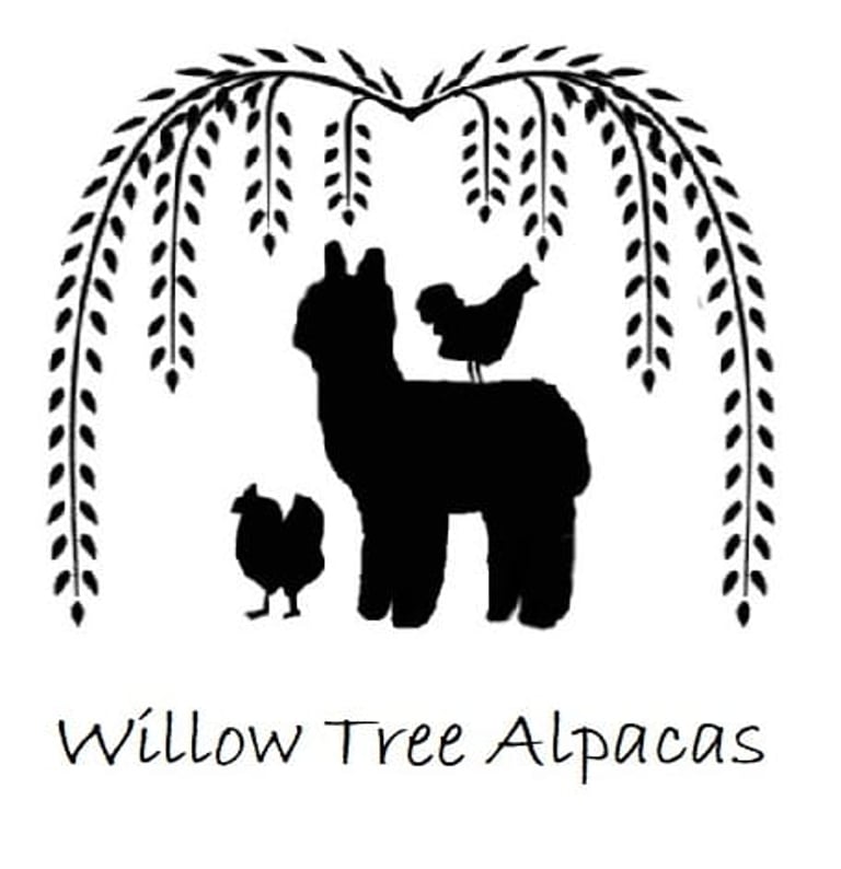 Willow tree alpaca experiences logo