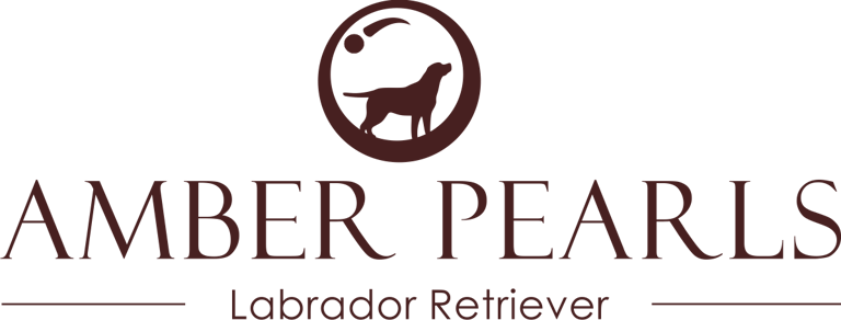 Labrador "Amberpearls" logo