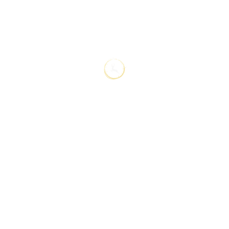 LE DOMAINE DE RUBIOU logo