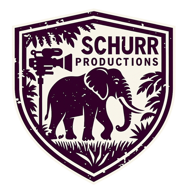 Schurr Pro Singapore | Corporate & Event Videos logo