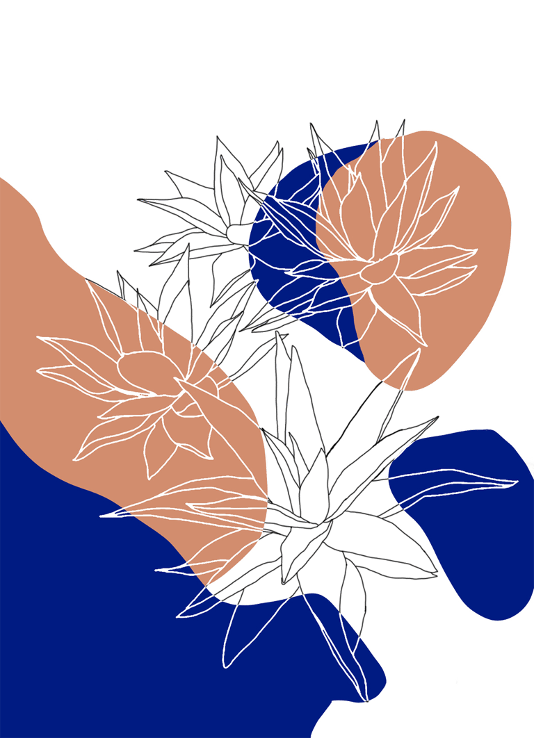 Illustration/montage photo d'agaves.