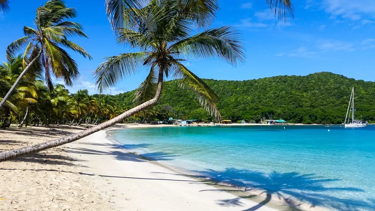 BVI Island
