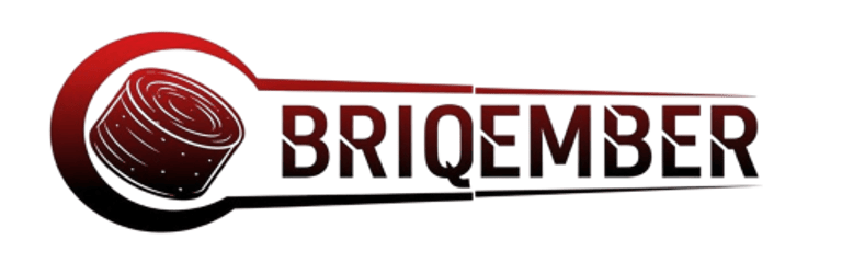 BRIQEMBER logo