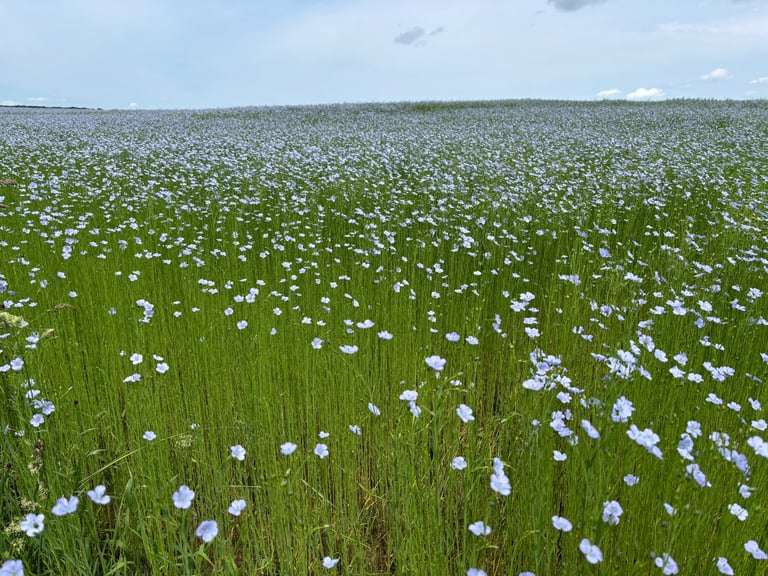 Desirable - Societal and environmental expectations