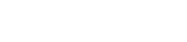 Christian Herrera Wedding Planner logo