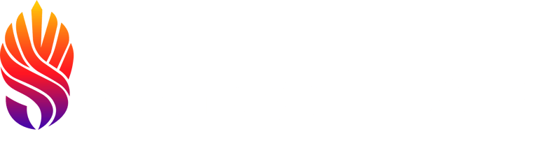 Skyrays Services logo