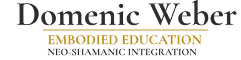 Domenic Weber | Healing Services | Eugene OR | Virtual logo