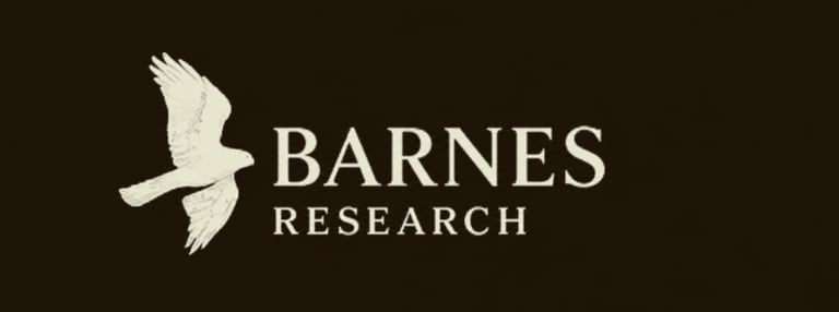 Barnes Research logo